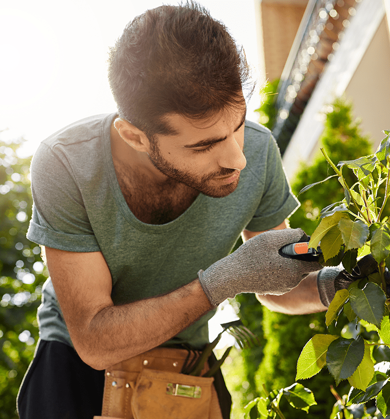 Giardiniere che pota una siepe